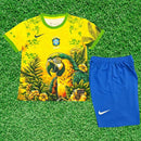 Kit Brasil Especial Amarela 2026 Infantil